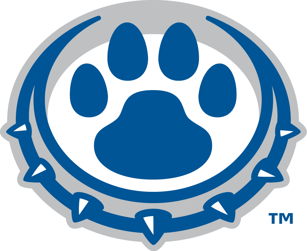 Drake Bulldogs 2015-Pres Alternate Logo 03 vinyl decal